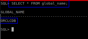 Consulta del nombre de servicio con global_name