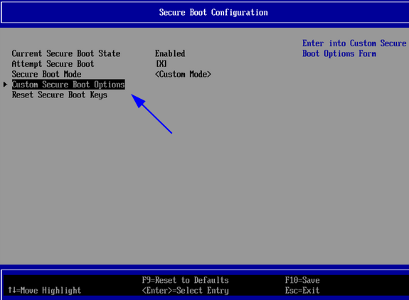 Secure Boot Configuration con Custom Secure Boot Options seleccionado