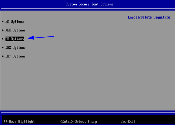 Custom Secure Boot Options con DB Options seleccionado