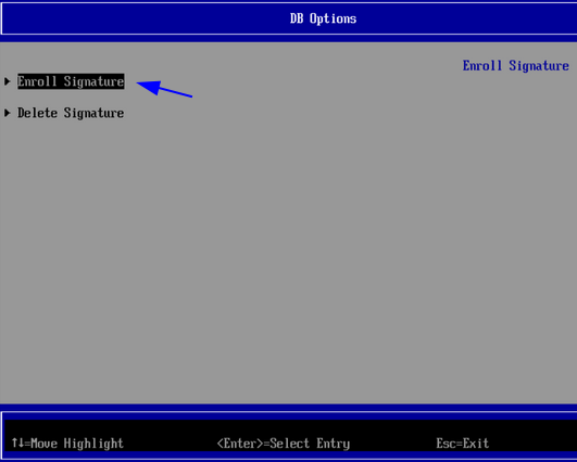 DB Options con Enroll Signature seleccionado