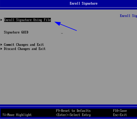 Pantalla Enroll Signature con Enroll Signature Using File seleccionado