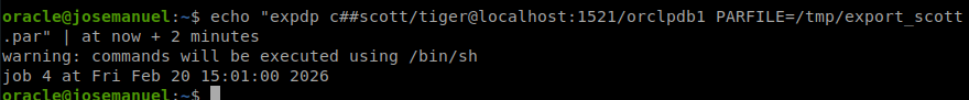 Programación del job de exportación con at now + 2 minutes