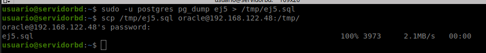 Exportación con pg_dump y transferencia del fichero por scp