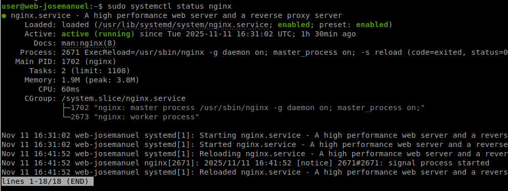 Estado del servicio nginx activo y corriendo