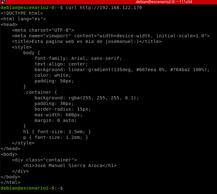 Página web recibida correctamente vía DNAT al hacer curl desde la instancia OpenStack