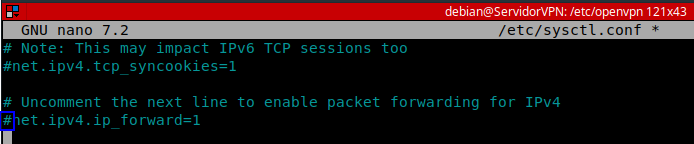 Descomentando net.ipv4.ip_forward en /etc/sysctl.conf