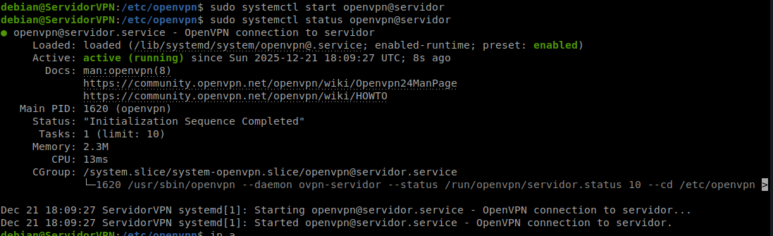 Servicio openvpn@servidor activo y corriendo