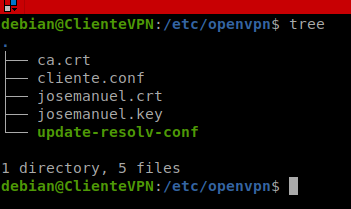 Estructura de archivos de certificados ya copiados en ClienteVPN