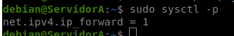 Verificación del IP forwarding habilitado en ServidorA