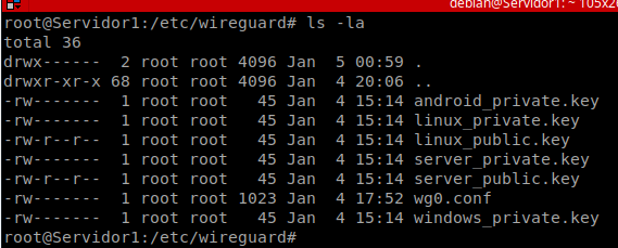 Listado de las claves privadas y públicas generadas en /etc/wireguard