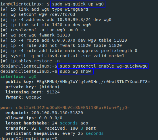 Túnel wg0 activo en ClienteLinux: ping y conexión SSH exitosos hacia el servidor