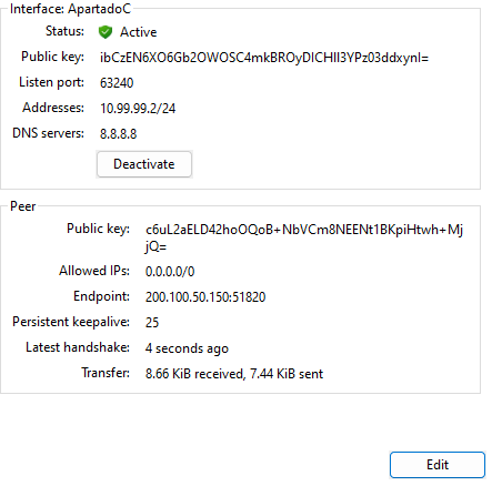 Túnel activo en Windows, con el estado, la clave pública y los datos del peer