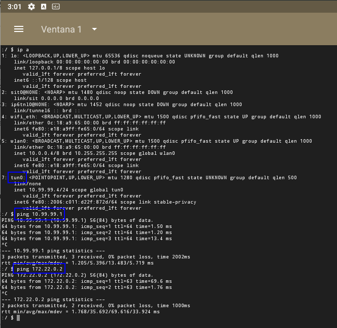 Ping desde Android al servidor y a la red remota a través de wg0