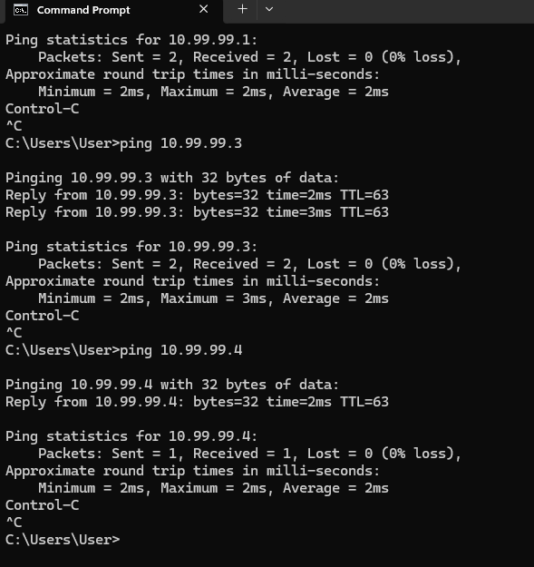 Pings desde Windows al servidor y a los clientes Linux y Android